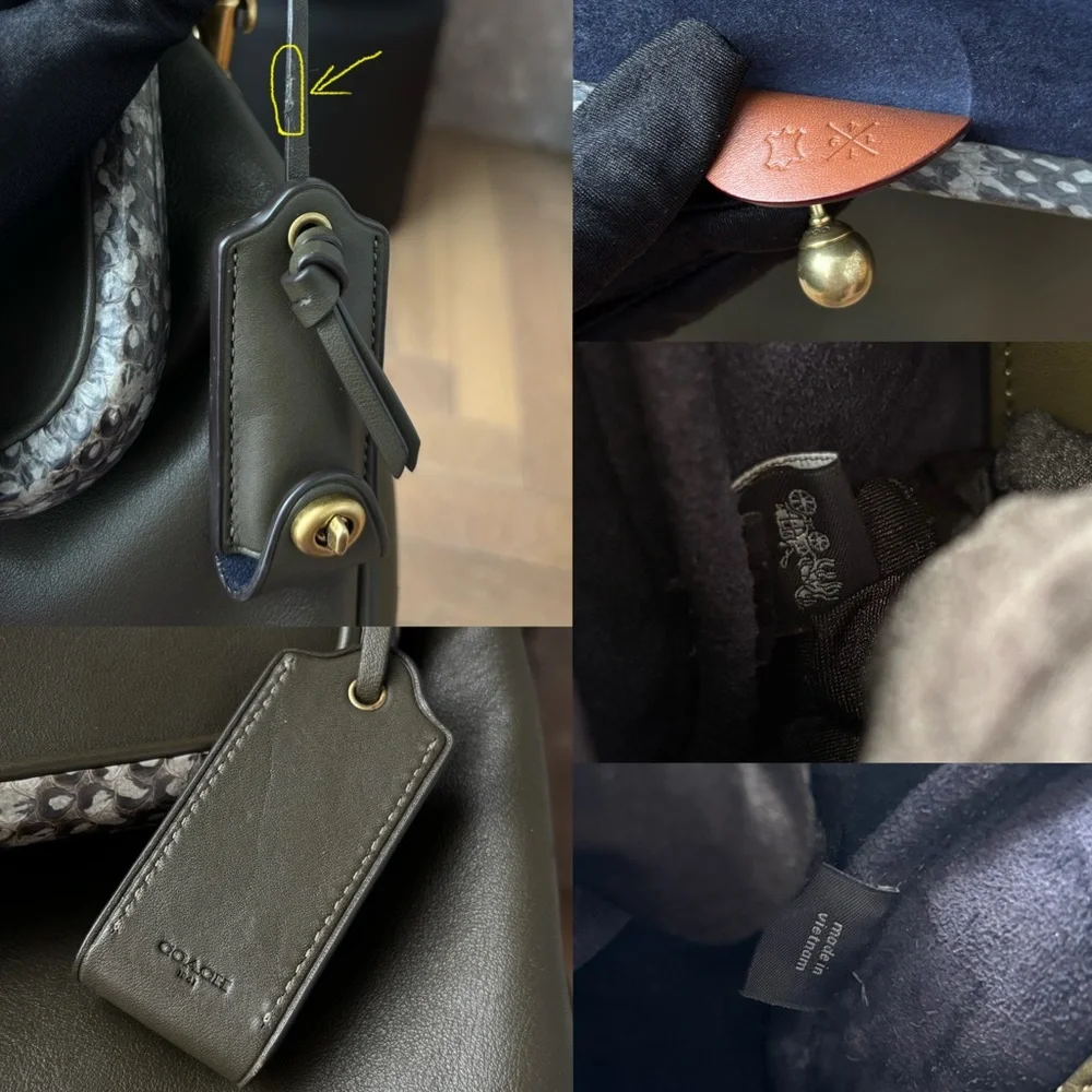 COACH Rider Bag 24 With Snakeskin Detail in Moss